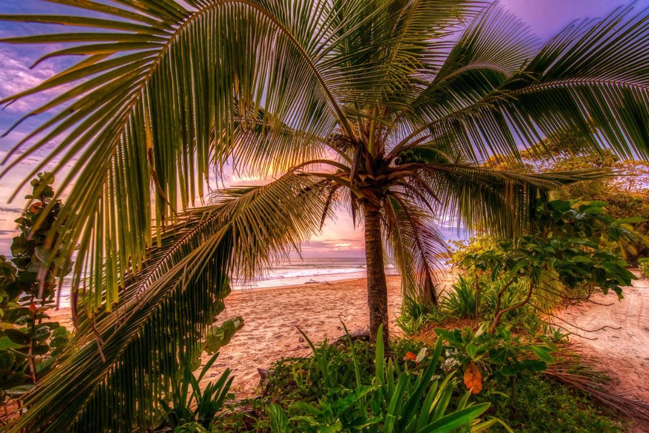 Oasis Bluff Beach Bocas Town Bagian luar foto