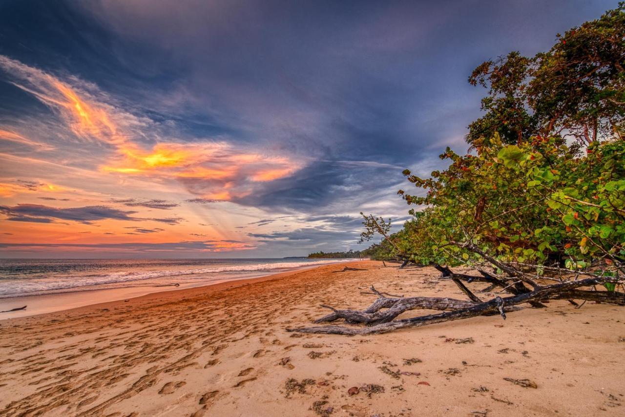 Oasis Bluff Beach Bocas Town Bagian luar foto