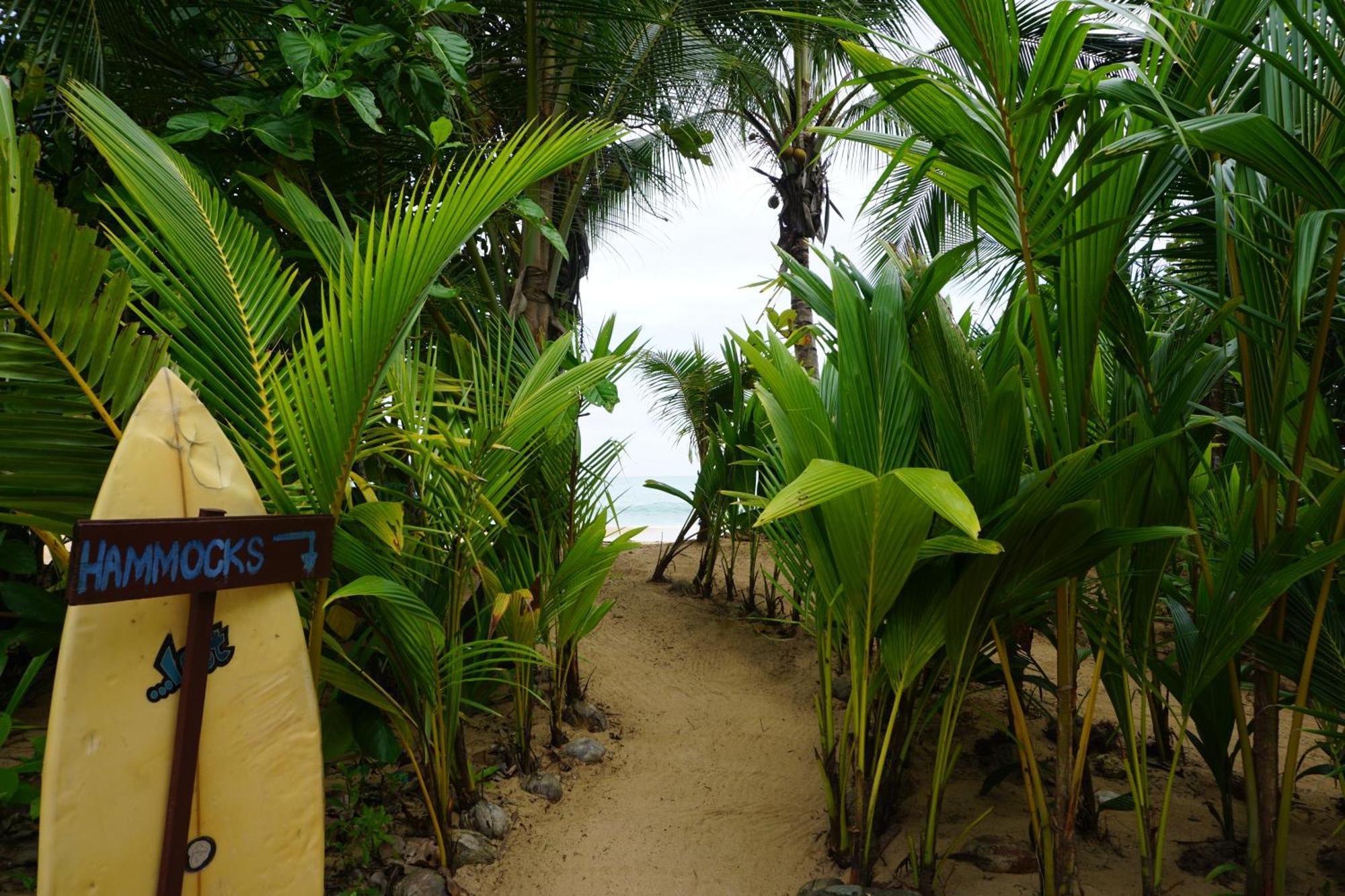 Oasis Bluff Beach Bocas Town Bagian luar foto