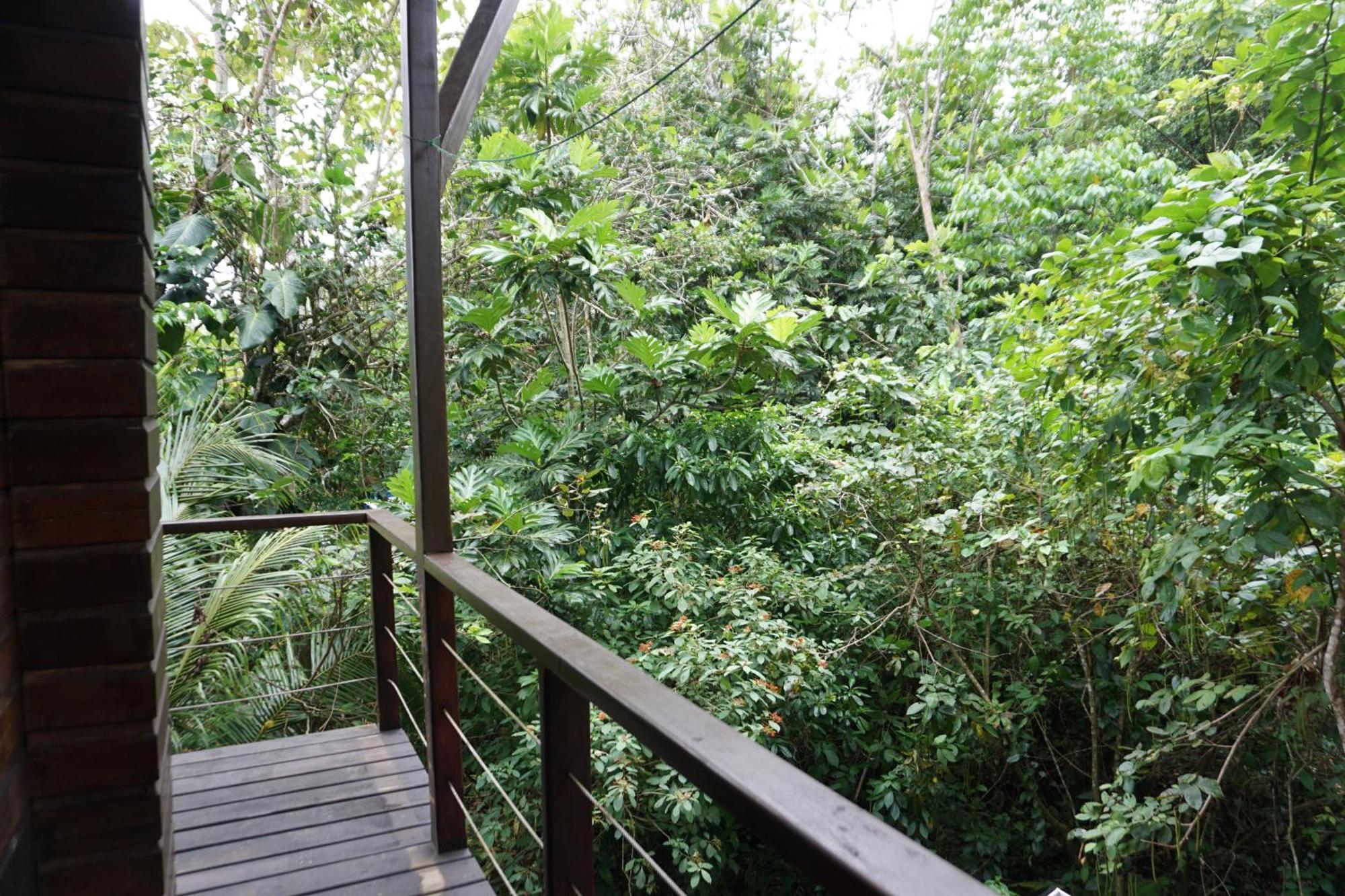 Oasis Bluff Beach Bocas Town Bagian luar foto